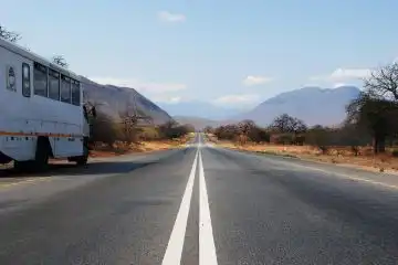 exotic wildlife of Tanzania