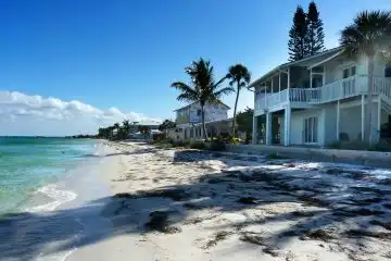 tropical beauty of Florida United States