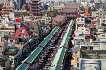 unveil the magic of Tokyo Japan